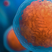 Cell therapies ps