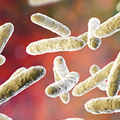 microbial fermentation ps