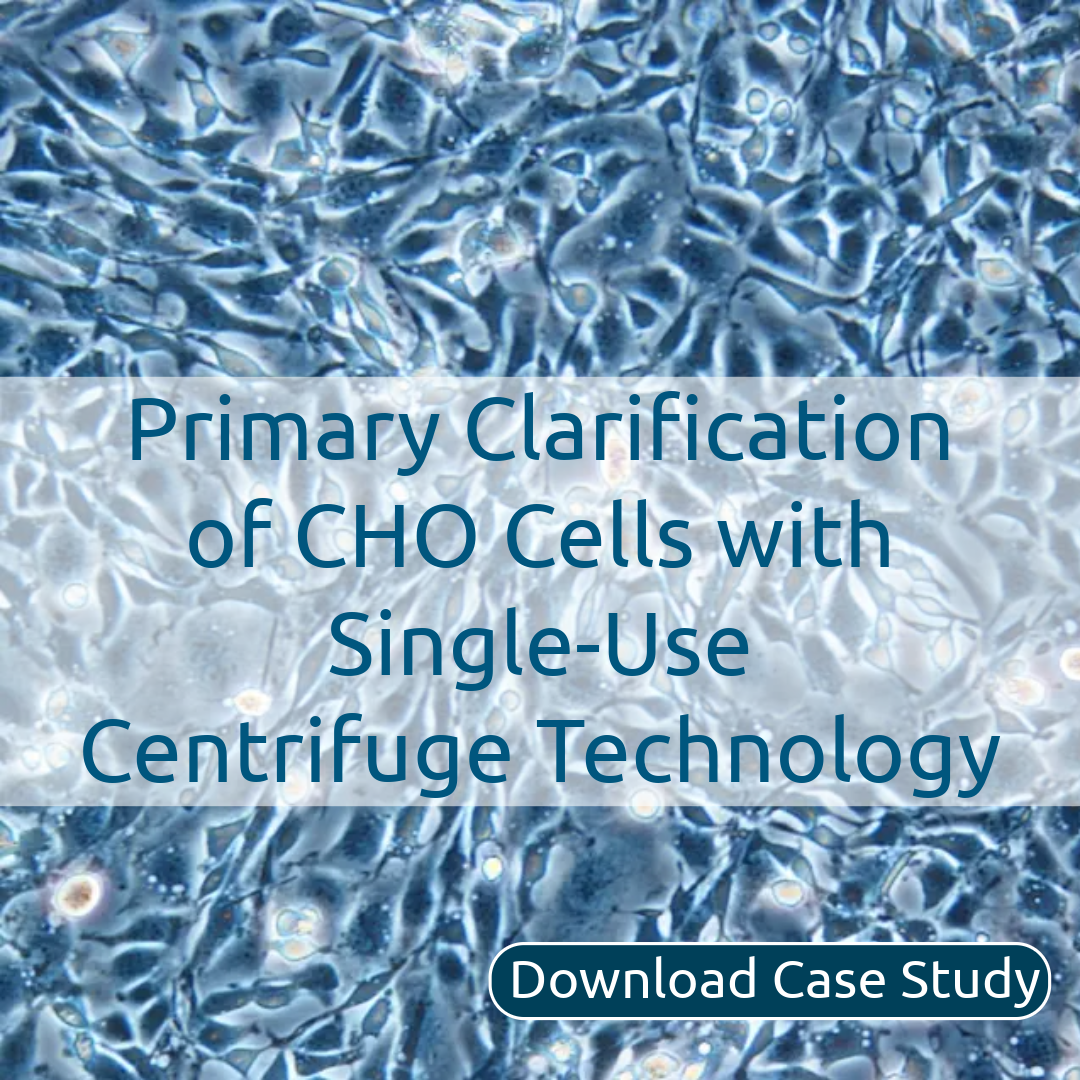 Vero Cell-1